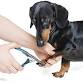 Nail Trim Clinic event in Barrie, ON