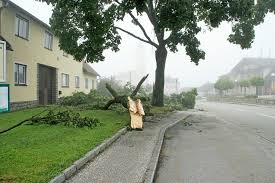 We did not find results for: Unwetter Dacher Flogen Davon Gmund
