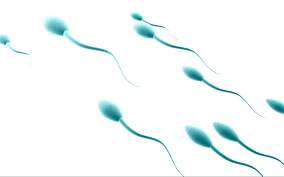 I risultati dello spermiogramma, considerata la premessa fatta ad inizio articolo, devono essere confermati in due esami successivi, raccolti in un intervallo compreso tra una settimana e tre mesi. Spermiogramma Esame Liquido Seminale Sperma