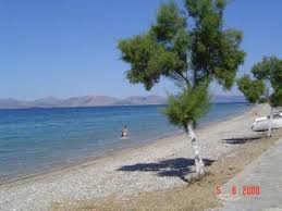 Φωτιά έχει ξεσπάσει σε δασική έκταση στον βαρνάβα αττικής, με την πυροσβεστική να τίθεται σε. Paralia Barnaba Skalwma Mapio Net
