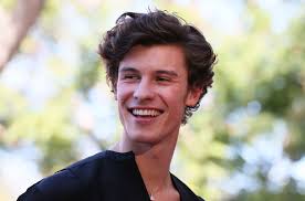 Shawn Mendes Foundation Partners with Google to Award 'Wonder' Grants