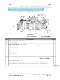 Dna is a long thin molecule that stores genetic information. Biology Form 4 Chapter 3 Osmosis Cell Membrane