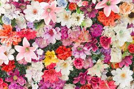 Check spelling or type a new query. Background With Lots Of Colorful Flowers Stock Photo Picture And Royalty Free Image Image 43946887