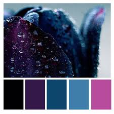 Colours Dark Color Palette Black Color Palette Color Palette Pink