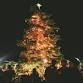 Peltzer Tree Lighting  — Earth + Clay Collective event in Temecula, CA