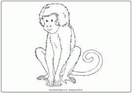 Monkey Colouring Pages There are hundreds of funny monkey pictures on the internet. monkey colouring pages