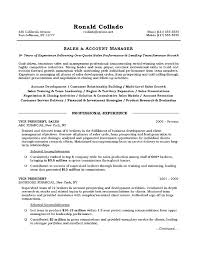sales position resume objective how