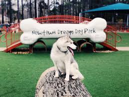 Best dining in cherry hill, new jersey: The Most Epic Dog Parks In The U S Bringfido