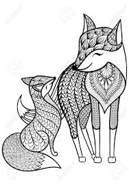 Pin On Fox
