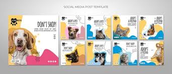 Check poison symptoms, diagnosis & treatments. Free Psd Adopt A Pet Social Media Posts Template