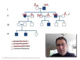 Pedigree Analysis 1 How To Solve A Genetic Pedigree No 1 Http Www Thehowto Info Pedigree Analysis 1 Ho Biology Teacher Medical Laboratory Science Biology
