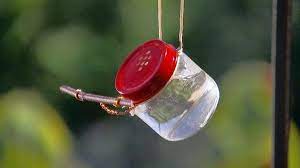 Feeding hummingbirds can be a great joy, but when those feeders start getting sticky, dripping, and leaking, problems can develop for both you and the birds. 16 Diy Homemade Hummingbird Feeder Ideas To Attract Them To Your Home