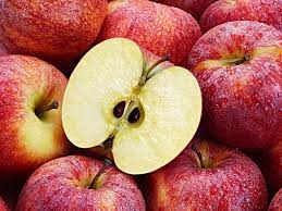 Product title apple peelers, apple peeler corer slicer suction bas. Can Apple Seeds Kill You Britannica