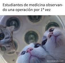 See more of memes macabros on facebook. Cuanto Dano 20 Memes Sobre Medicos Que Son La Mejor Medicina Si Necesitais Reir