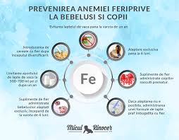 Cea mai frecventă modificare a hemoglobinei este scăderea acesteia în anemiile hipocrome (eritrocitele conțin hemoglobină puțină). Anemia Bebelusului Si Suplimentele De Fier