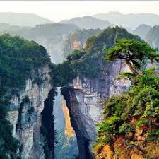 44 Zhangjiajie National Forest Park Ideas Zhangjiajie Forest Park National Forest