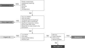 Factual Esi Triage Chart 2019