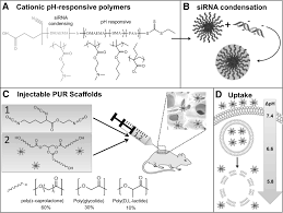 siRNA Delivery from an Injectable Scaffold for Wound Therapy