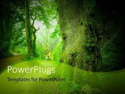 Maybe you would like to learn more about one of these? Forest Templates Cakomo