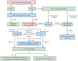Image result for Small Intestinal Bleeding