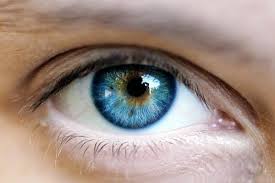 Want to discover art related to aqua_green_eyes? Blue Green Eyes Learn About This Rare Color Guy Counseling