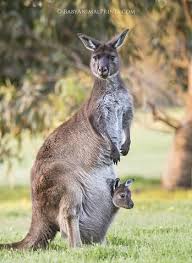 Pin On Kids Nature