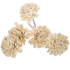 Maybe you would like to learn more about one of these? Natural Sola Zinnia Stems Hobby Lobby 1324557