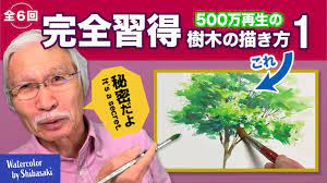 73歳シニア画家YouTuber柴崎春通（はるみち）さん、今月CNNテレビに出演し世界で話題！ | おとなの住む旅