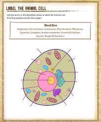 Science worksheets for kids, teachers, and parents. 4th Grade Science Worksheets Best Coloring Pages For Kids