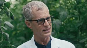 Un botánico quiere regar sus tomates con agua de mar