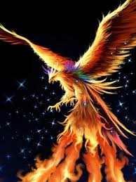 Kok3shi jailbreak released an alternative for phoenix. Operation Phoenix Is A Go On Planet Earth Phoenix Wallpaper Phoenix Images Phoenix Artwork