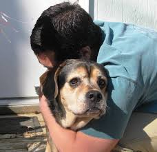 But generally, a pet owner. Cancer In Dogs 6 Tips To Help Keep Them Healthy