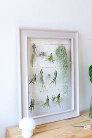 Diy Vertikaler Garten Mit Luftpflanzen Eine Upcycling Idee In 2020 Vertikaler Garten Luftpflanzen Vertikaler Garten Diy