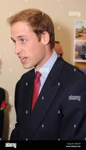 Young prince henry hi-res stock photography and images