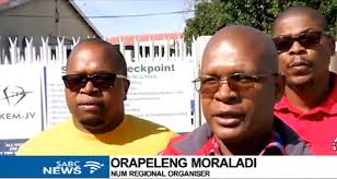 Flamingos fate in the hands of Sol Plaatje Municipality