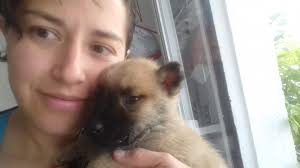 Páginas Personales UNAM