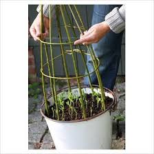 As a garden designer and plant lover, one of my favorite garden elements is the garden trellis. Bamboo Trellis Pea Trellis Diy Trellis