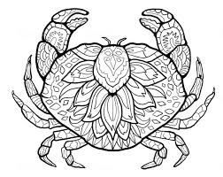 Since crabs are so different to look at, they make fish coloring page animal coloring pages colouring pages adult coloring pages coloring pages for kids coloring sheets coloring books applique patterns wool applique. Create An Intricate Adult Coloring Page By Jovana023 Fiverr
