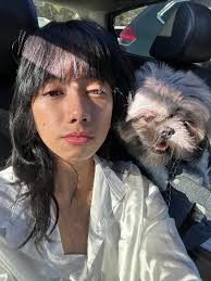 Rogue hoe replacement recommendations needed