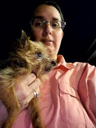 Lost Yorkie named Daisy in Boerne, Texas