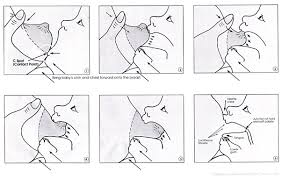 Free Resources Lactation Development Resources