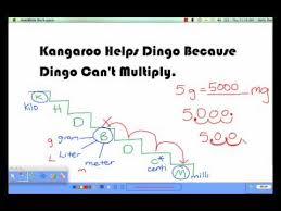 The energy expenditure of stair climbing one step and two steps at a time: Metric System Youtube