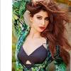 Mr sidhu's comment on friday created a storm on social media, with dozens of people on twitter demanding a ban on the kapil sharma show, following navjot sidhu's remark.mr sidhu is a member and. 1