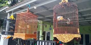 We did not find results for: Mengisi Waktu Luang Ketika Harus Di Rumah Saja Haris Ardjan Memilih Pelihara Burung Redaksi 8