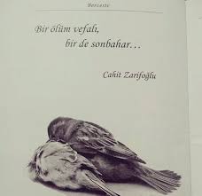 Bir Olum Vefali Bir De Sonbahar Cahit Zarifoglu Sozler Anlamlisozler Guzelsozler Manalisozler Ozlusozler Alinti Alint Edebiyat Siir Ozlu Sozler