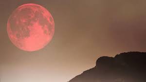 Este sitio está dedicado a la luna llena. Vttyvopgzcqajm