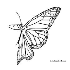 Various motifs of the wings make the butterfly highly admired. Butterfly Coloring Pages Airborne Art