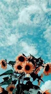 Aesthetic Wallpaper Iphone Vintage Aesthetic Wallpaper Iphone Vintage Aesthetic Wallpaper Iphone Wallpaper Vintage Summer Wallpaper Aesthetic Wallpapers