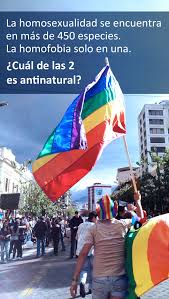 ¡lista la fecha para la marcha del orgullo lgbt 2021 cdmx! Orgullo Lgbti Ecuador Home Facebook