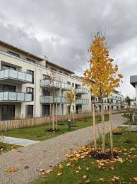 Alle einheiten sind derzeit vermietet. 2 Zimmer Wohnung Zu Vermieten Am Markt 25 85635 Hohenkirchen Siegertsbrunn Munchen Kreis Mapio Net